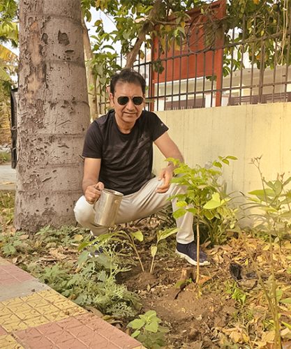 Planting_Tree_2